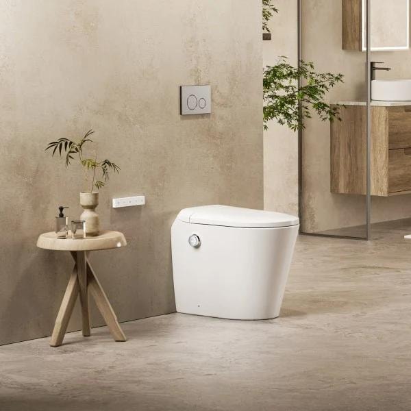 Smart Toilets